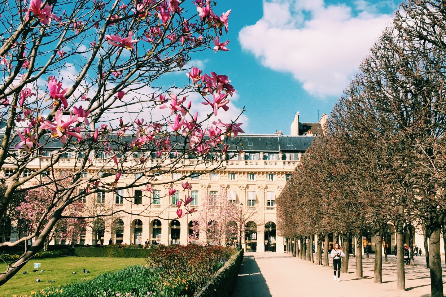 Processed with VSCO with c1 preset