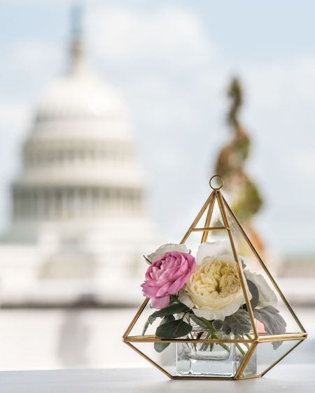 The DC Darlings Engagement Party