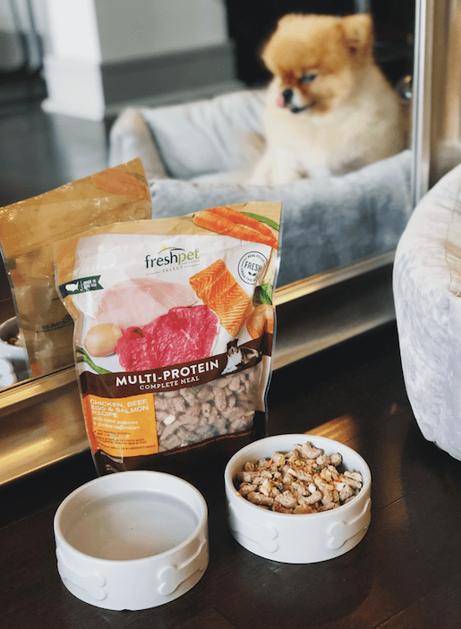 Freshpet x The DC Darlings